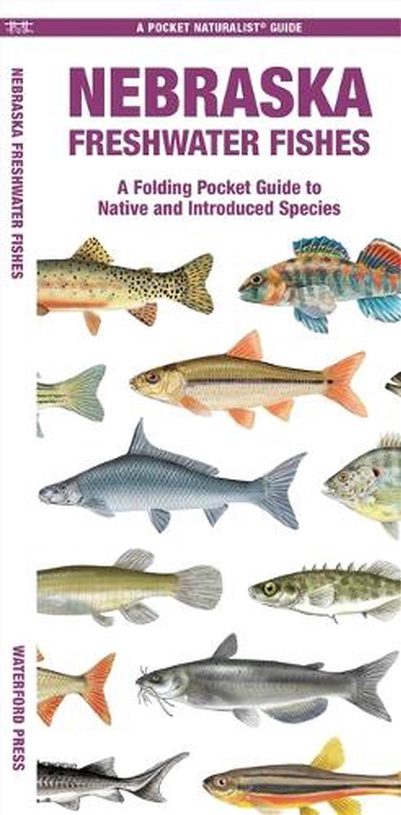 Nebraska Freshwater Fishes/Product Detail/Animals & Nature