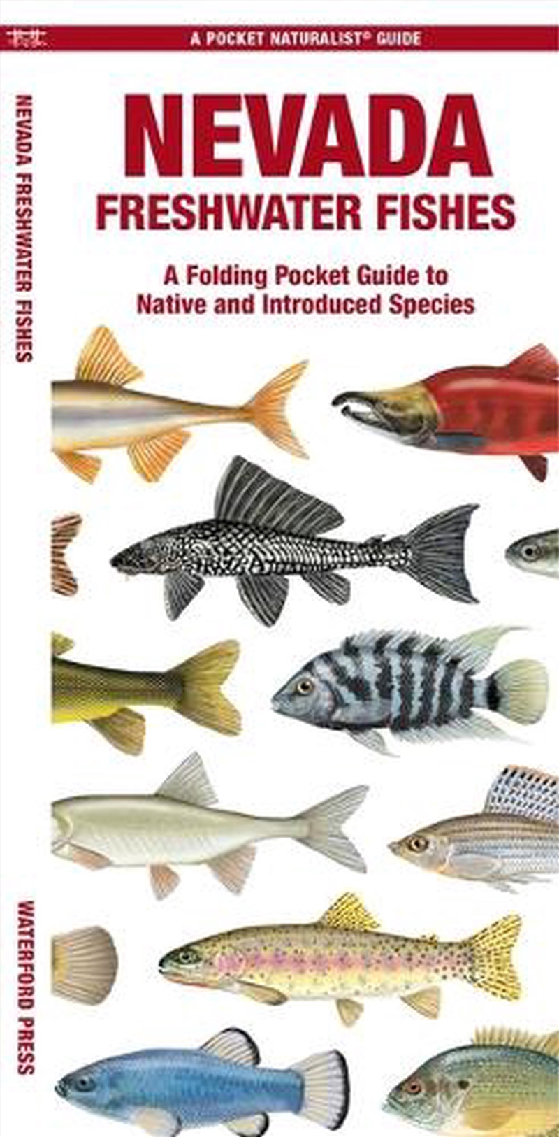 Nevada Freshwater Fishes/Product Detail/Animals & Nature