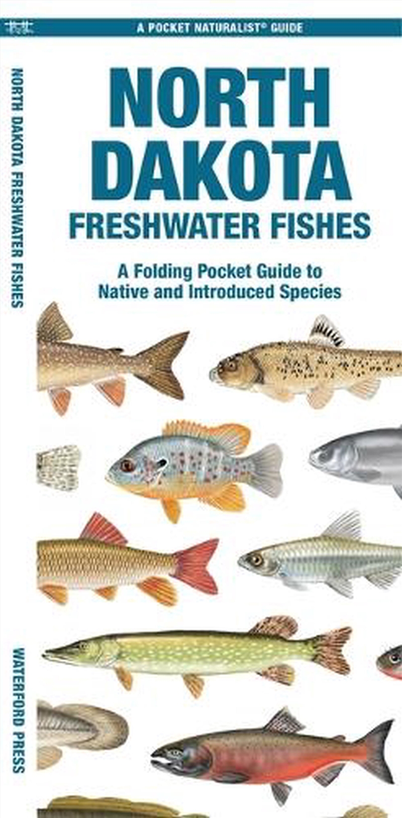 North Dakota Freshwater Fishes/Product Detail/Animals & Nature