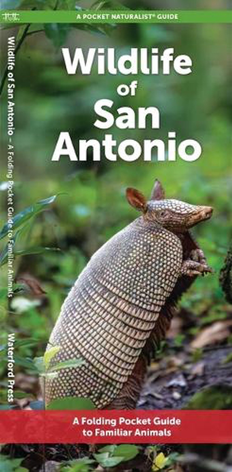 San Antonio Wildlife/Product Detail/Animals & Nature