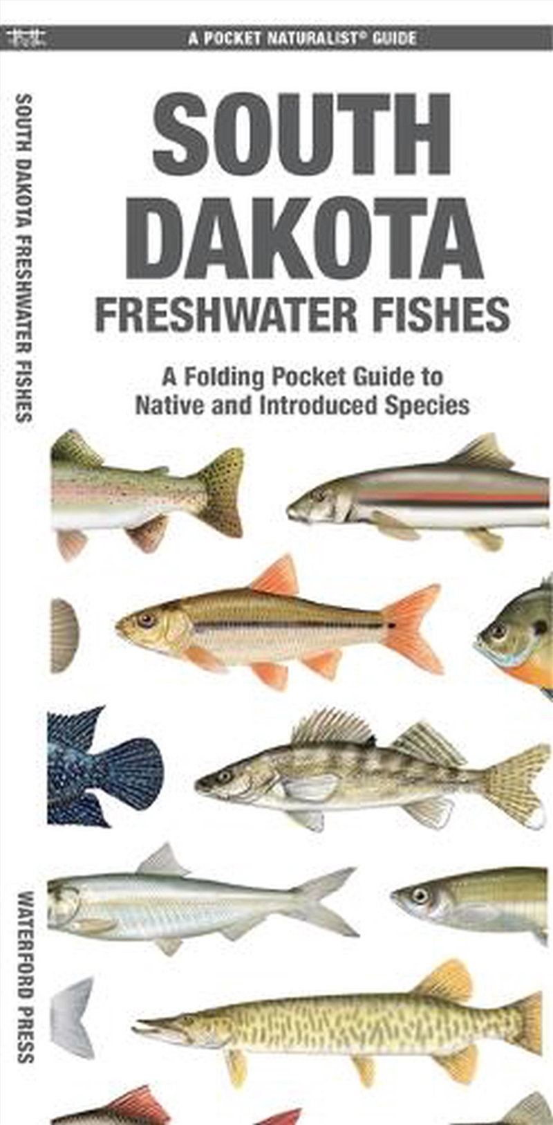 South Dakota Freshwater Fishes/Product Detail/Animals & Nature