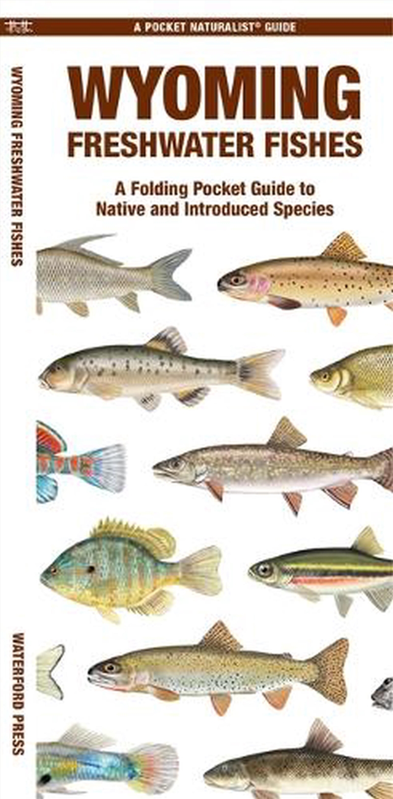Wyoming Freshwater Fishes/Product Detail/Animals & Nature