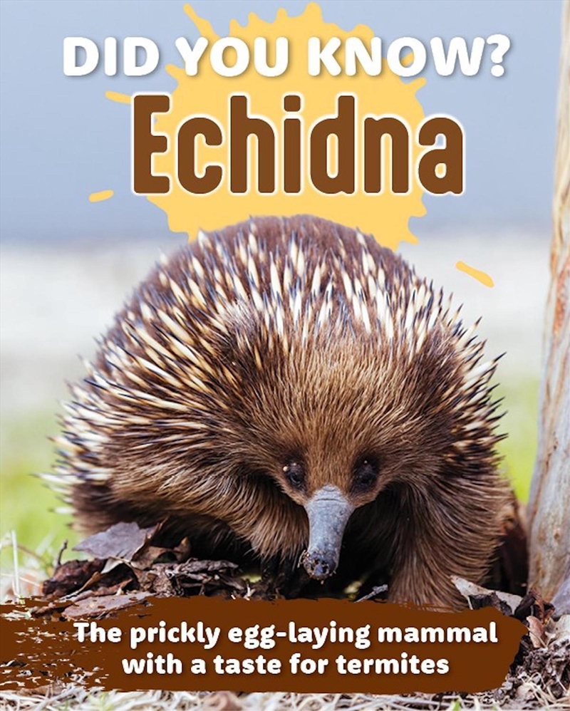 Did You Know? Echidna/Product Detail/Childrens