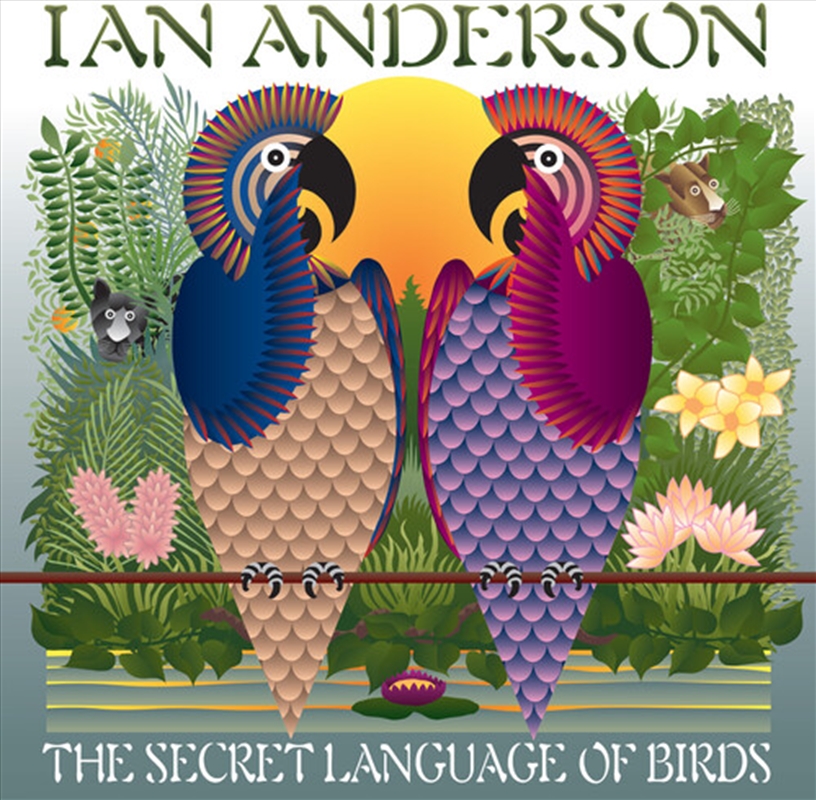 Secret Language Of Birds/Product Detail/Rock/Pop