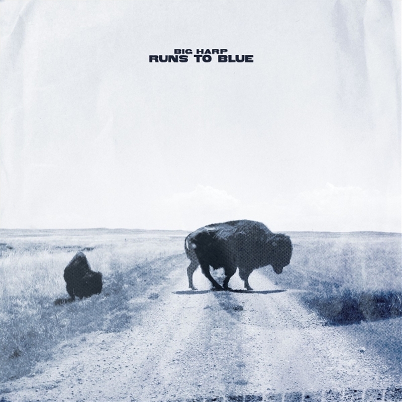 Runs To Blue/Product Detail/Alternative