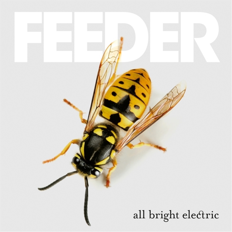 All Bright Electric/Product Detail/Rock/Pop