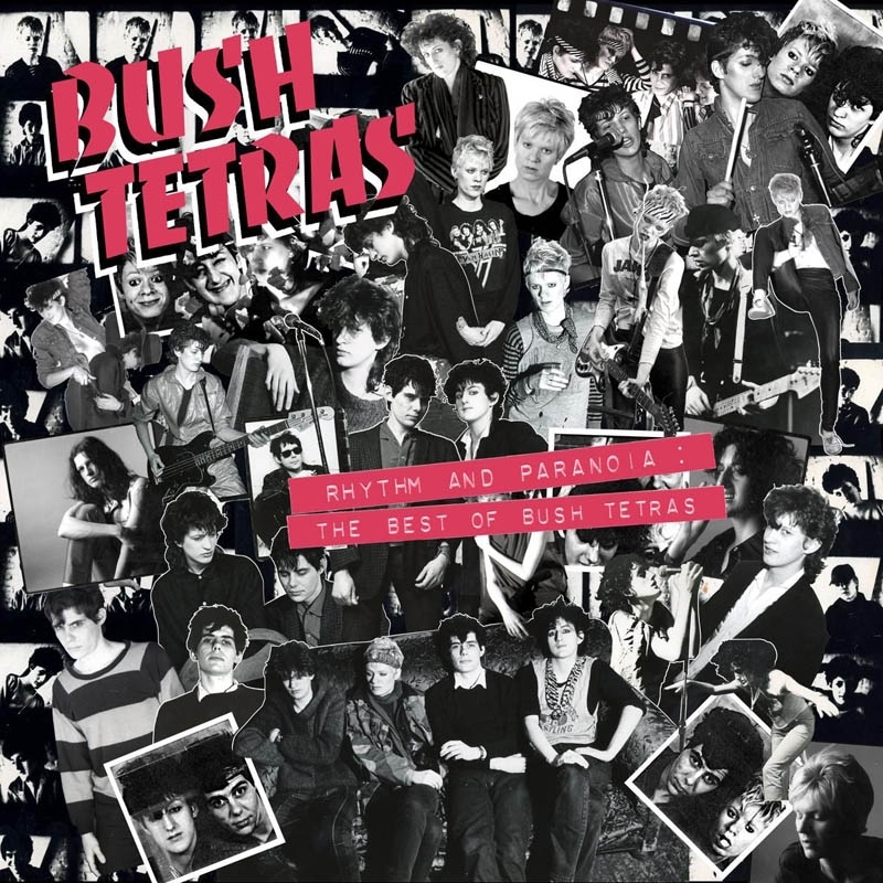Rhythm And Paranoia: The Best/Product Detail/Rock/Pop