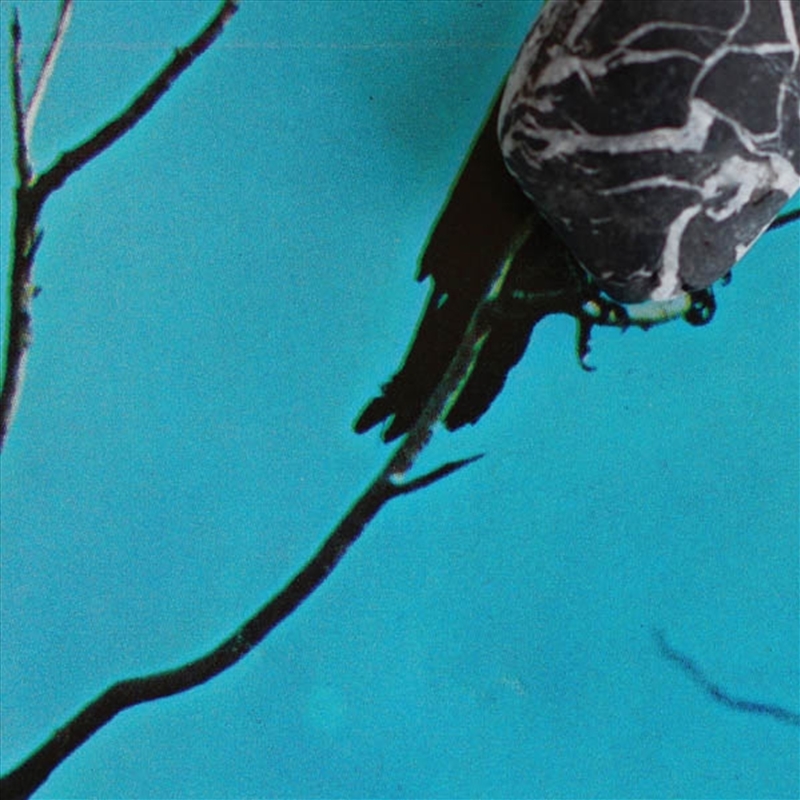 Stateless/Product Detail/Rock