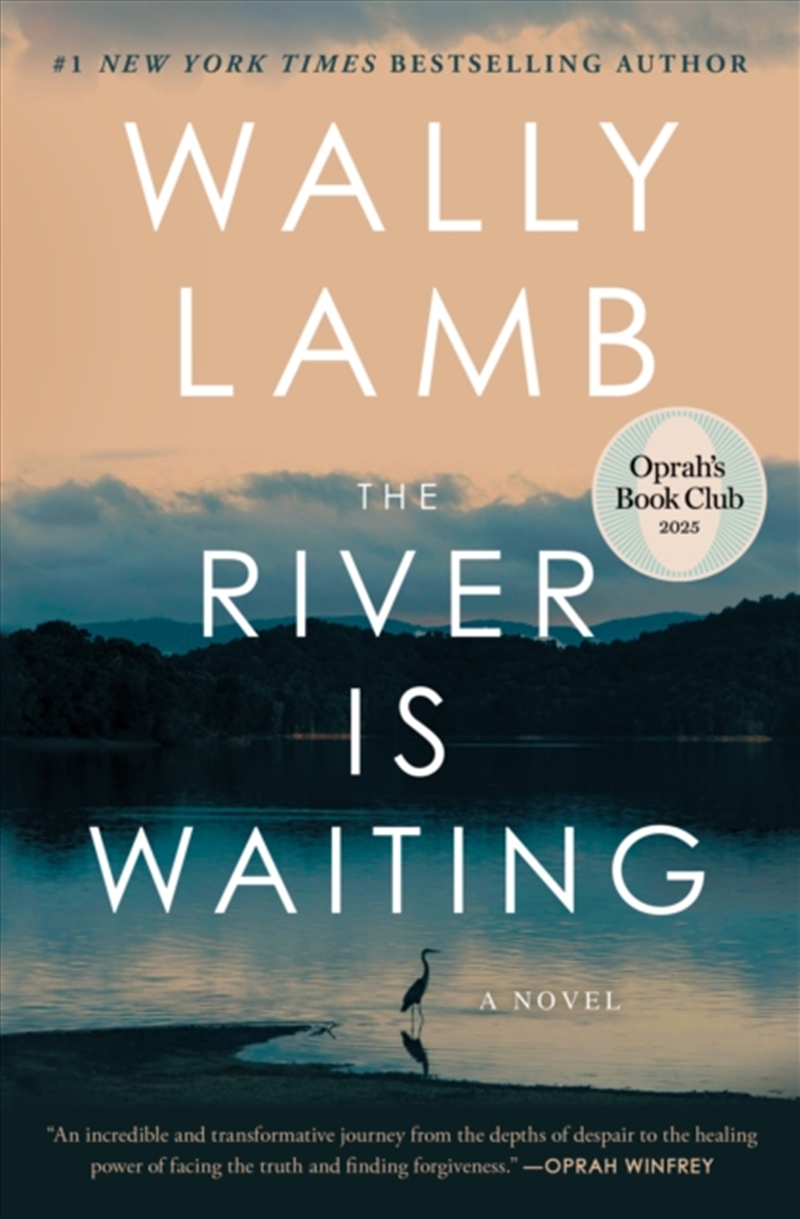The River Is Waiting/Product Detail/Thrillers & Horror Books