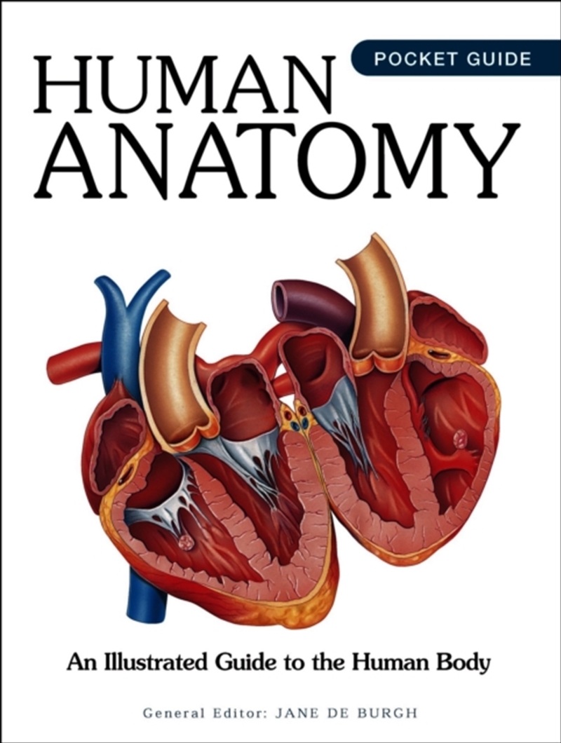 Human Anatomy : An Illustrated Guide to the Human Body/Product Detail/Healthcare