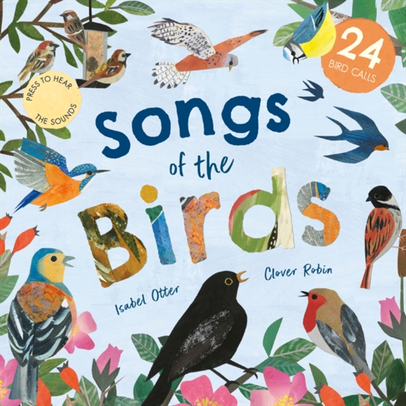 Songs of the Birds/Product Detail/Early Childhood Fiction Books
