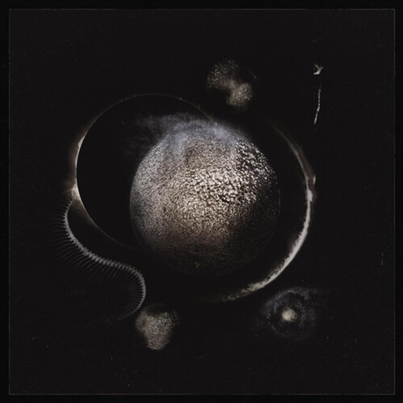 Cold Black Suns/Product Detail/Metal