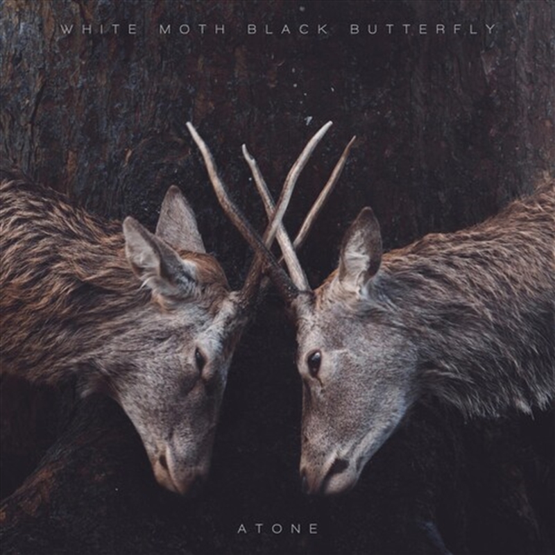 Atone/Product Detail/Rock