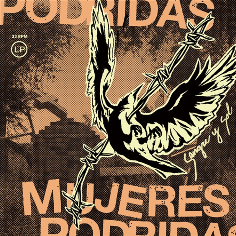 Sangre Y Sol/Product Detail/Rock/Pop