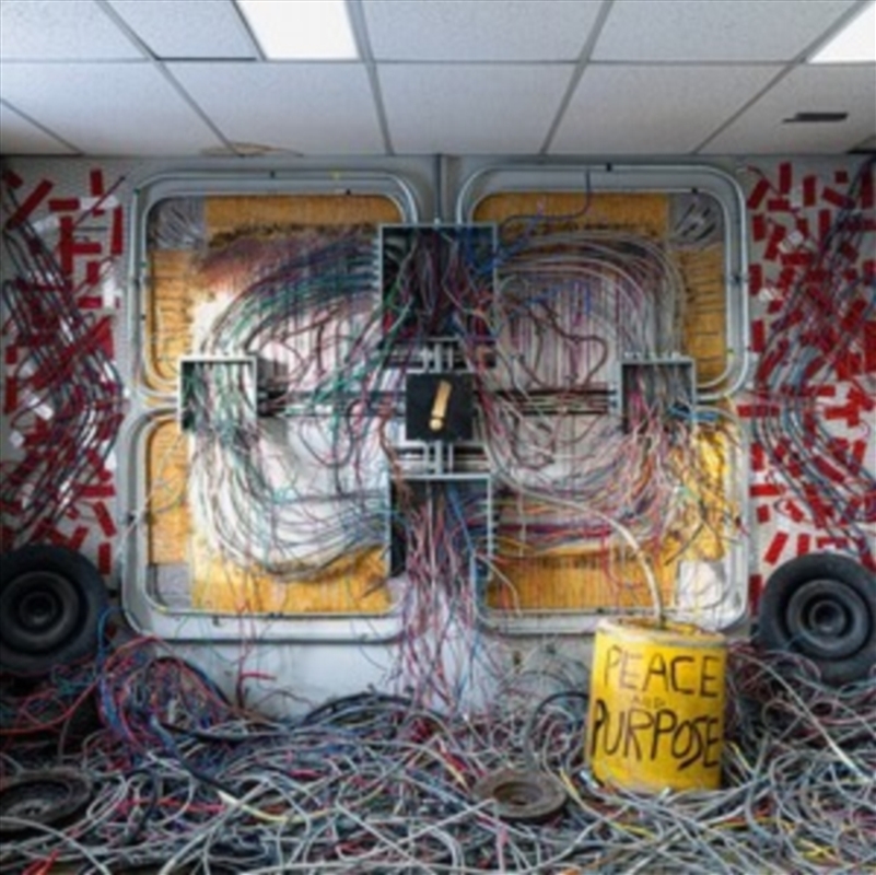 Peace & Purpose/Product Detail/Alternative
