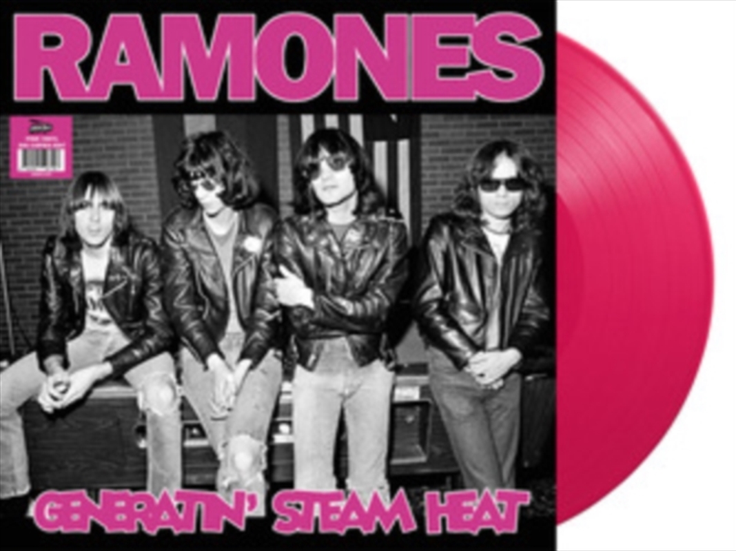 Generatin Steam Heat: Live In Germany 1978 / Live At Cbgbs 1976 - Fm Broadcast - Pink Vinyl/Product Detail/Rock/Pop