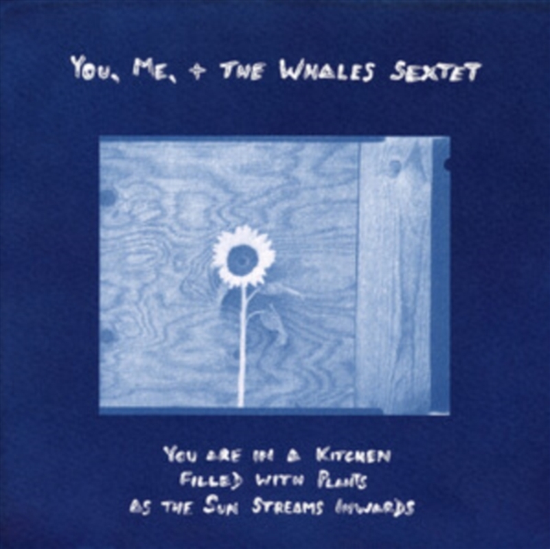 You Are In A Kitchen Filled With Plants As The Sun Streams Inwards/Product Detail/Jazz