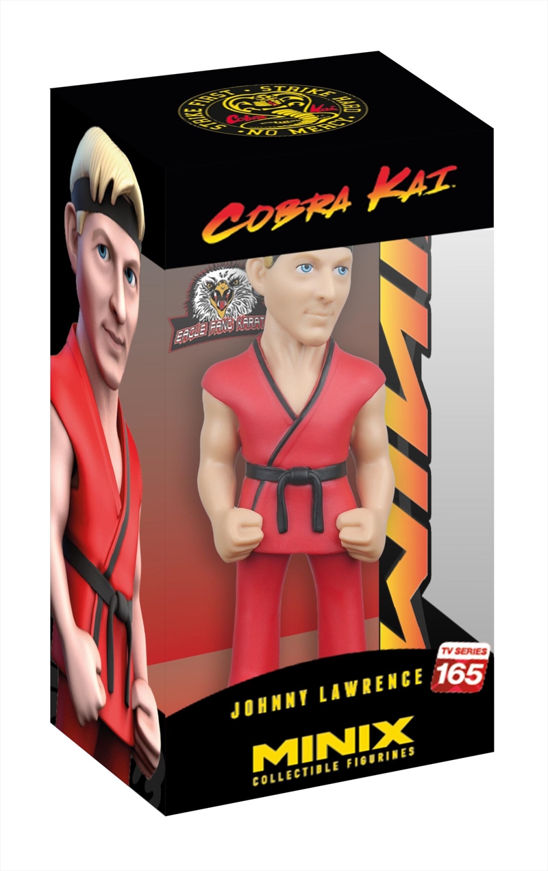MINIX - Cobra Kai Johny Lawrence Eagle Fang Karate 165/Product Detail/Figurines