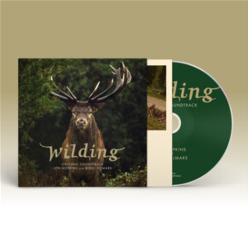Wilding/Product Detail/Dance
