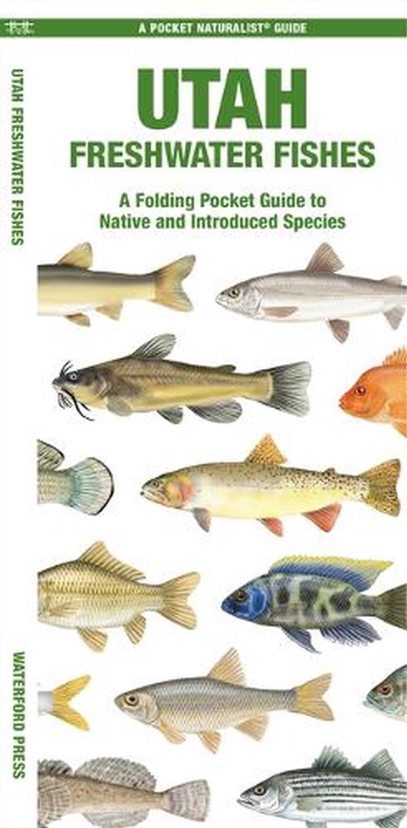 Utah Freshwater Fishes/Product Detail/Animals & Nature