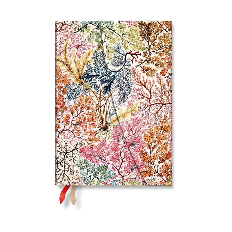 2027 Anemone William Kilburn Midi 12-Month Hardcover Dayplanner Wrap Closure Verso/Product Detail/Calendars & Diaries
