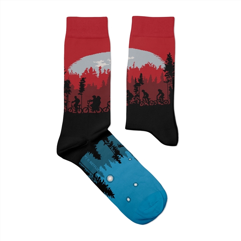 Upside Down - Medium Multicoloured Socks/Product Detail/Socks