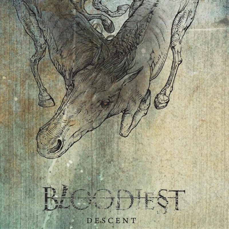 Descent/Product Detail/Metal