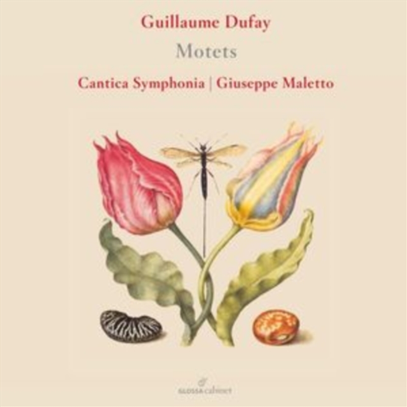Guillaume Dufay: Motets/Product Detail/Classical