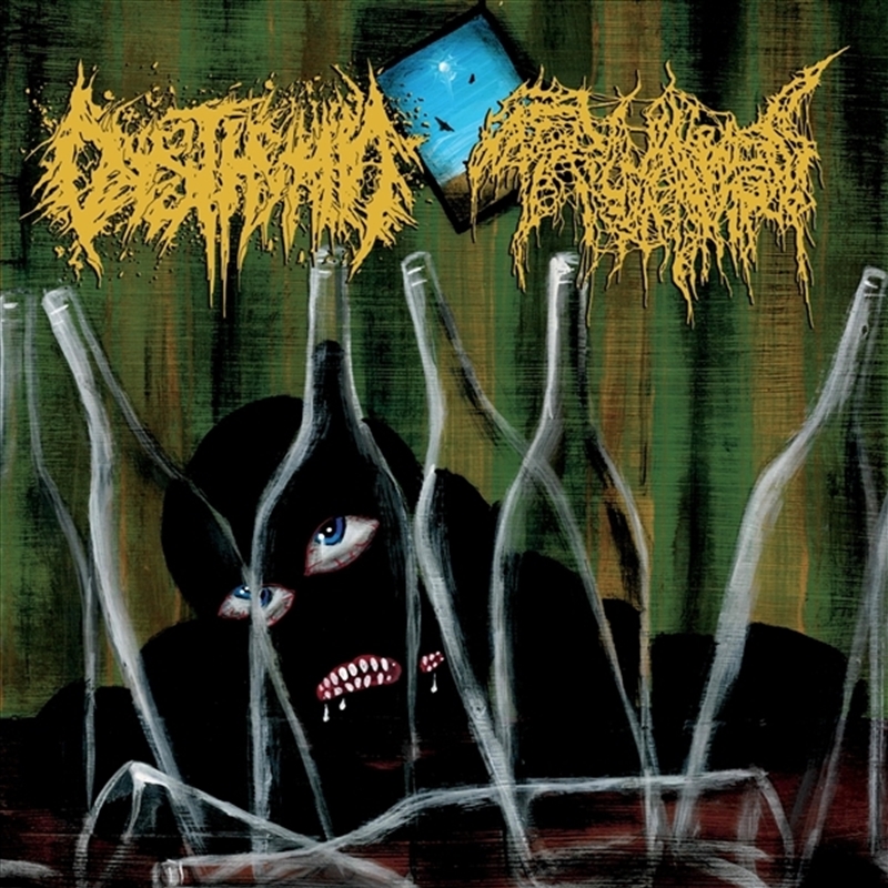 Split/Product Detail/Rock/Pop