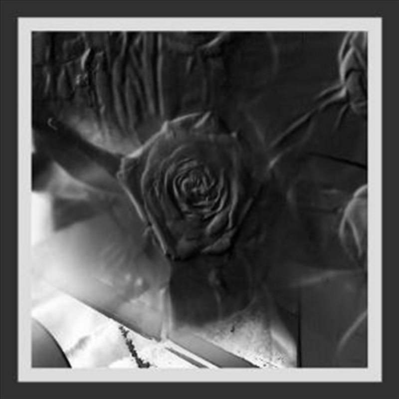 Mind Abandon/Product Detail/Dance