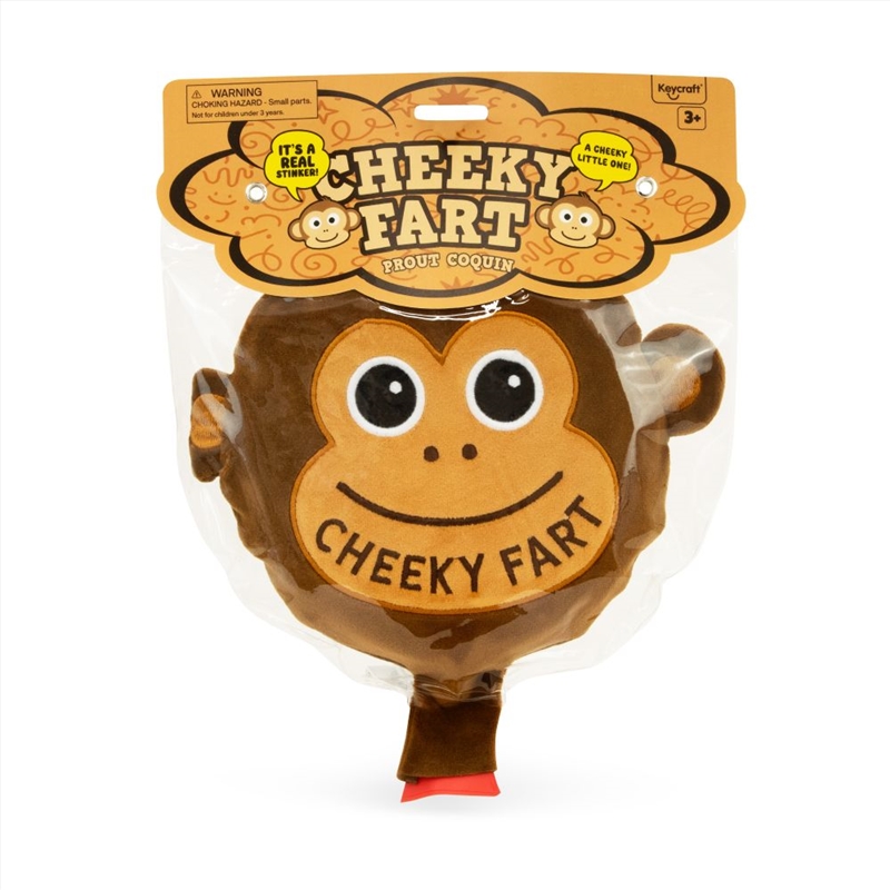Cheeky Fart Whoopee Cushion/Product Detail/Toys