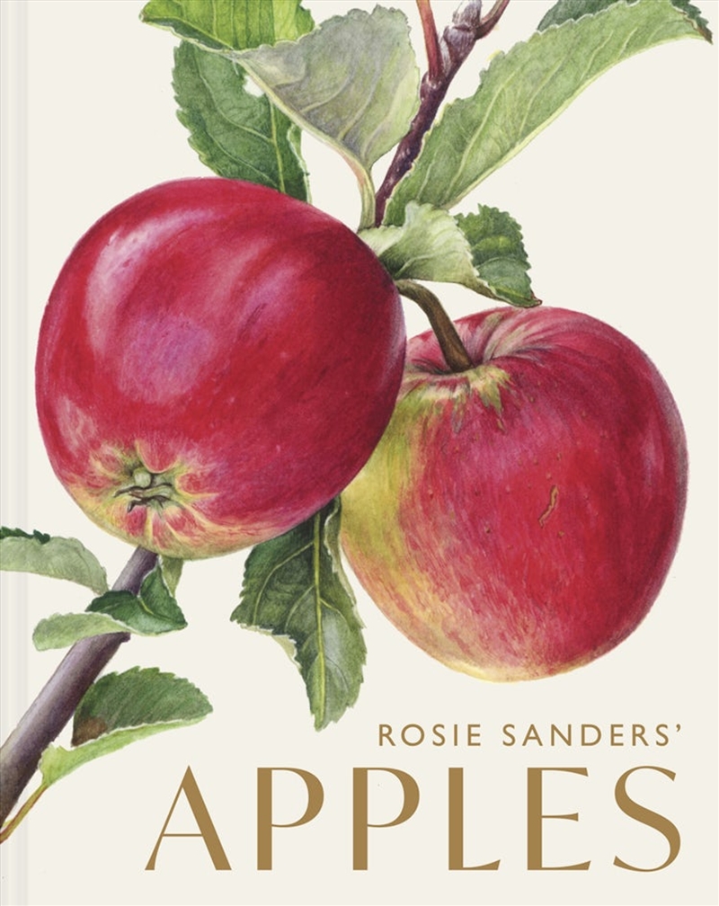 Rosie Sanders' Apples/Product Detail/Art