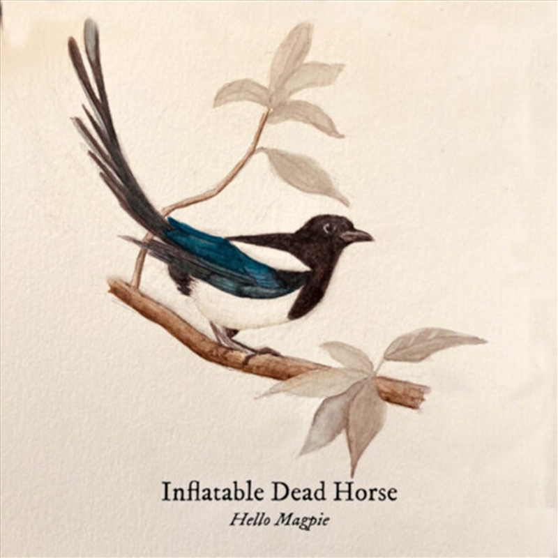 Hello Magpie/Product Detail/Rock/Pop