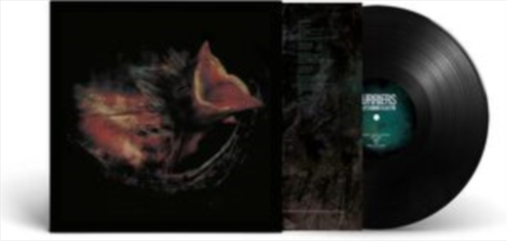 Nobodys Coming To Save You/Product Detail/Rock/Pop