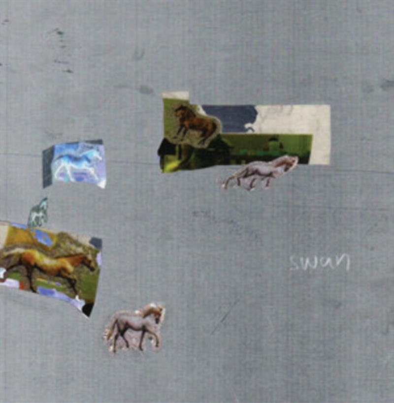 Swan/Product Detail/Alternative