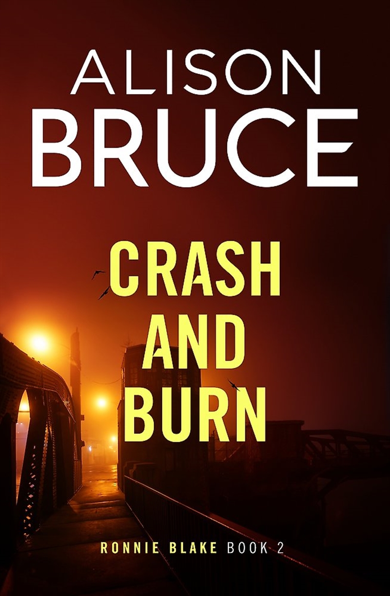 Crash and Burn/Product Detail/Crime & Mystery Fiction