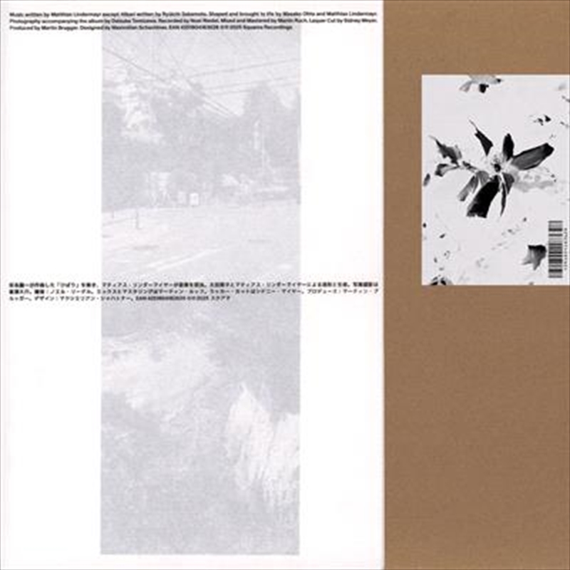 Nozomi Cd/Product Detail/Jazz
