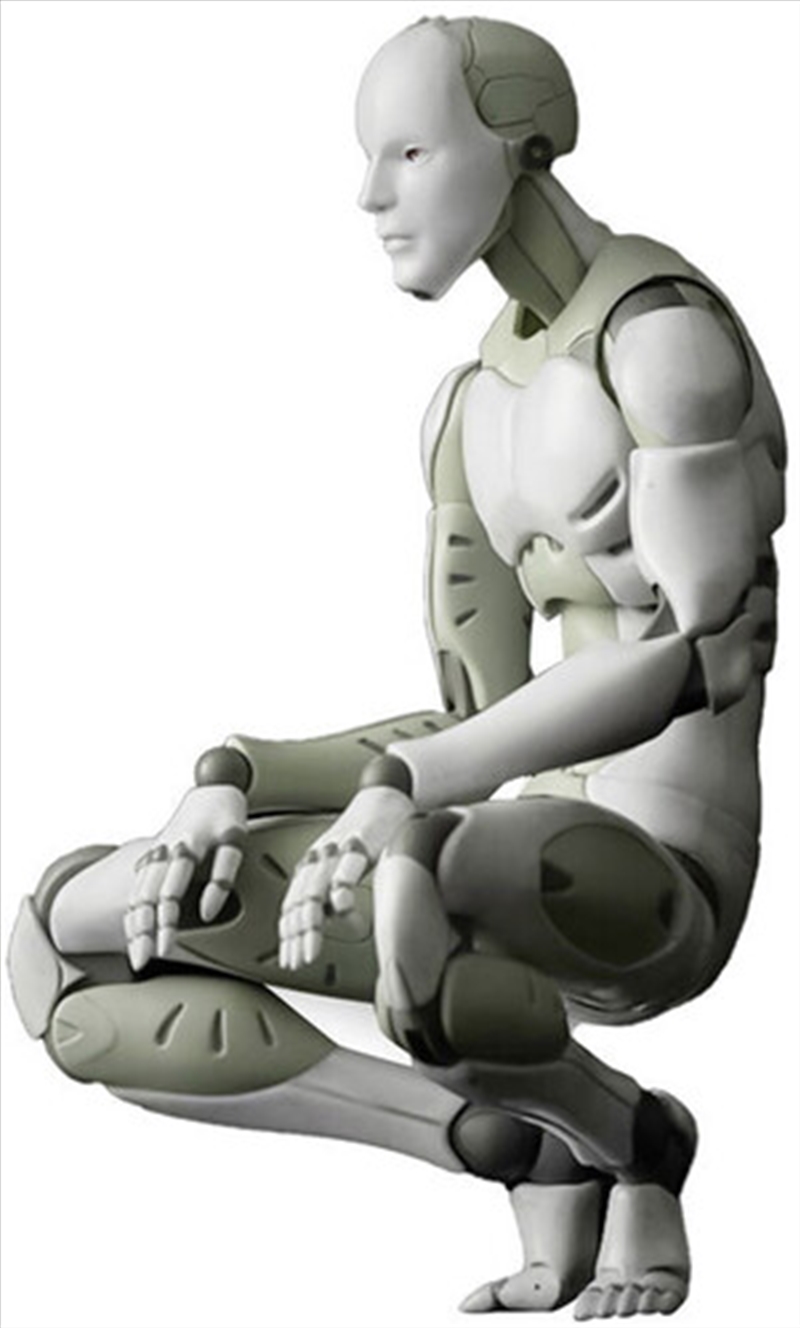 1/6 Sythetic Human Figure/Product Detail/Collectables