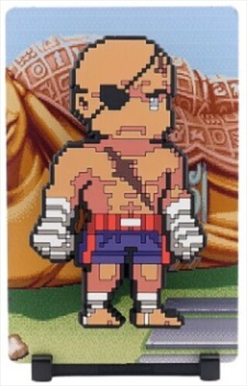 FIGGYZ - Street Fighter 2 Sagat/Product Detail/Collectables