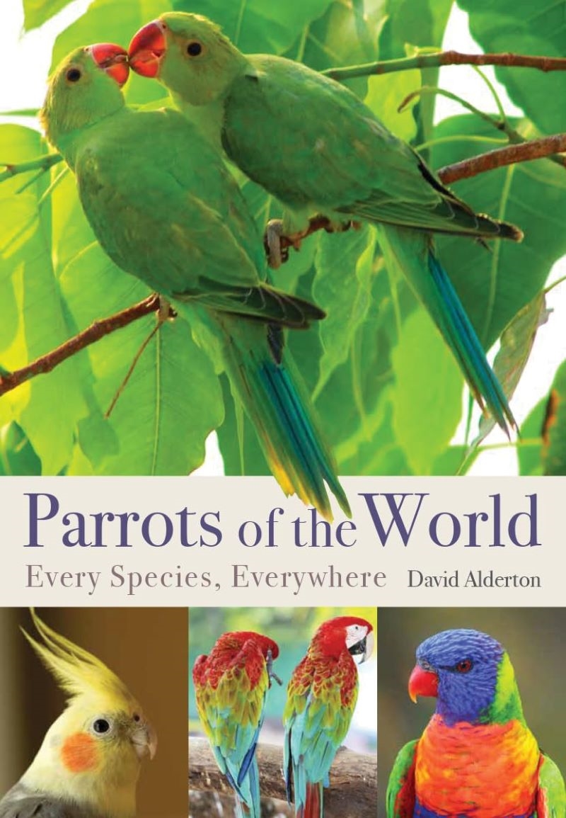 Parrots of the World: Every Species, Everywhere/Product Detail/Animals & Nature