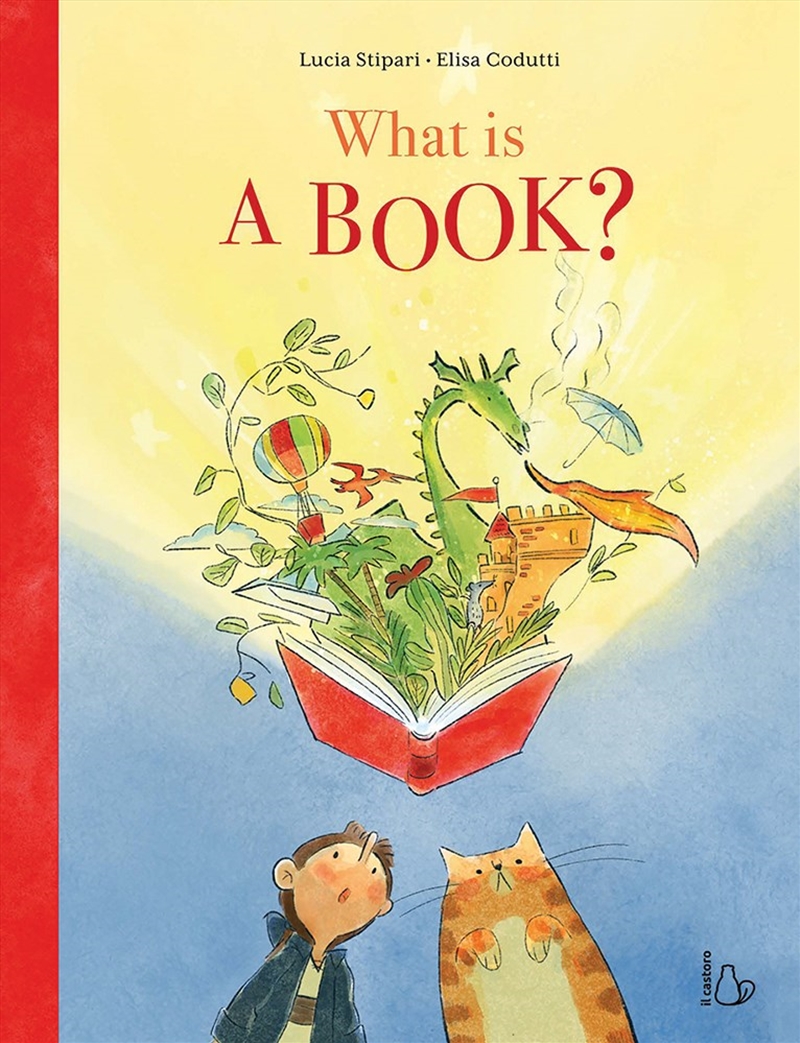 What is a Book?/Product Detail/Early Childhood Fiction Books
