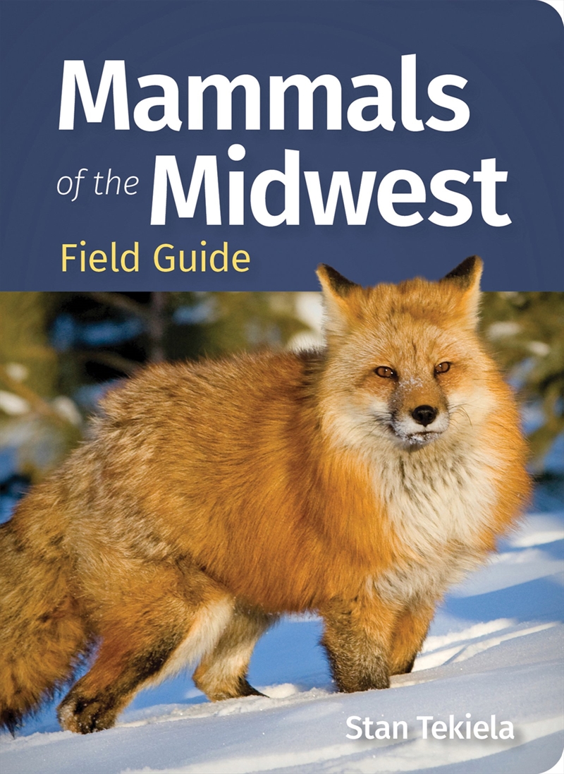 Mammals of the Midwest Field Guide/Product Detail/Animals & Nature