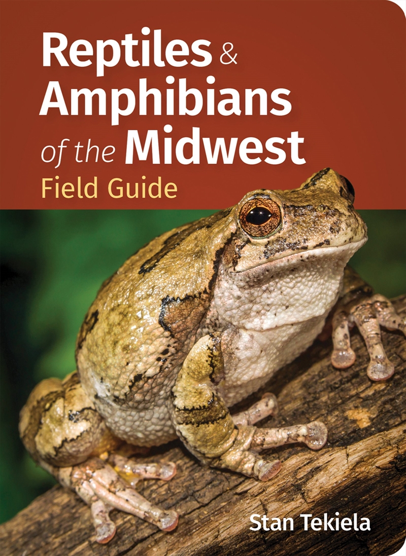 Reptiles & Amphibians of the Midwest Field Guide/Product Detail/Animals & Nature