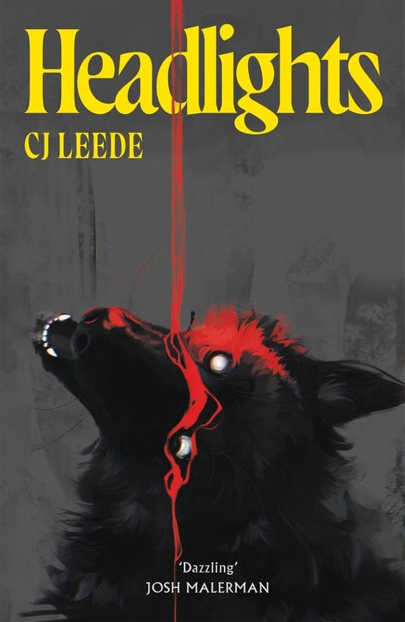 Headlights/Product Detail/Fantasy Fiction