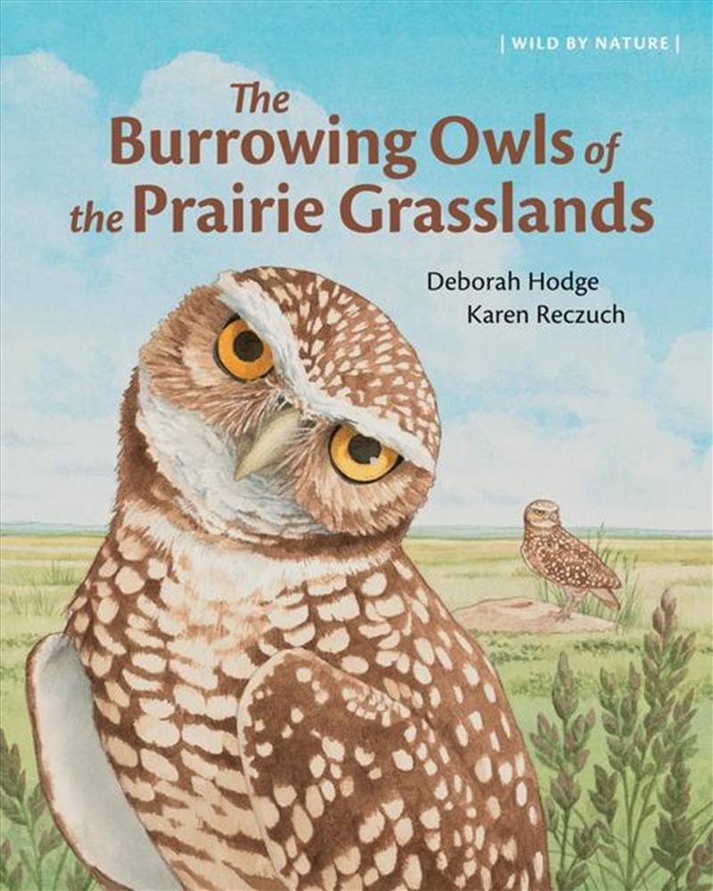 The Burrowing Owls of the Prairie Grasslands/Product Detail/Childrens