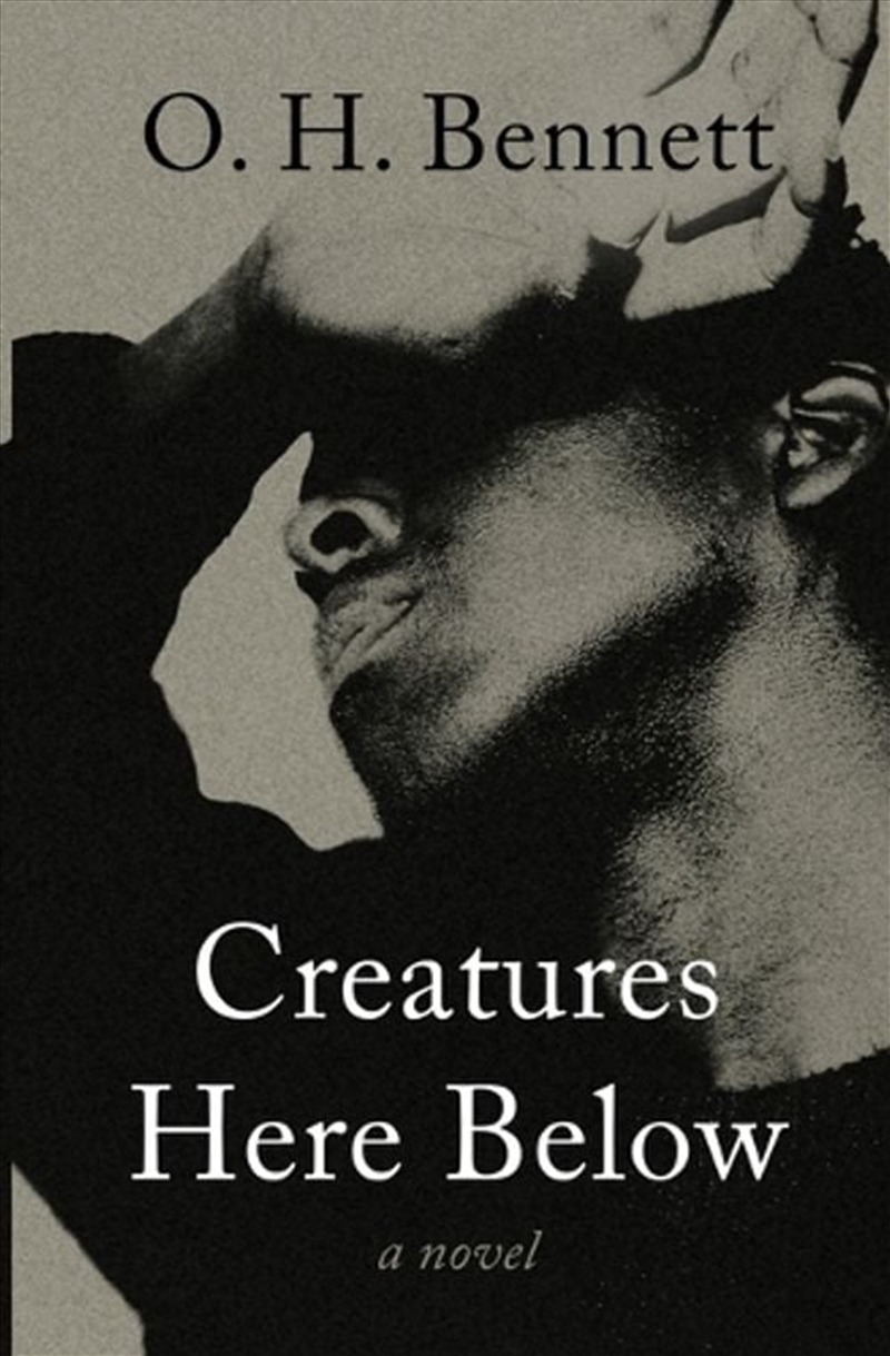 Creatures Here Below/Product Detail/Modern & Contemporary