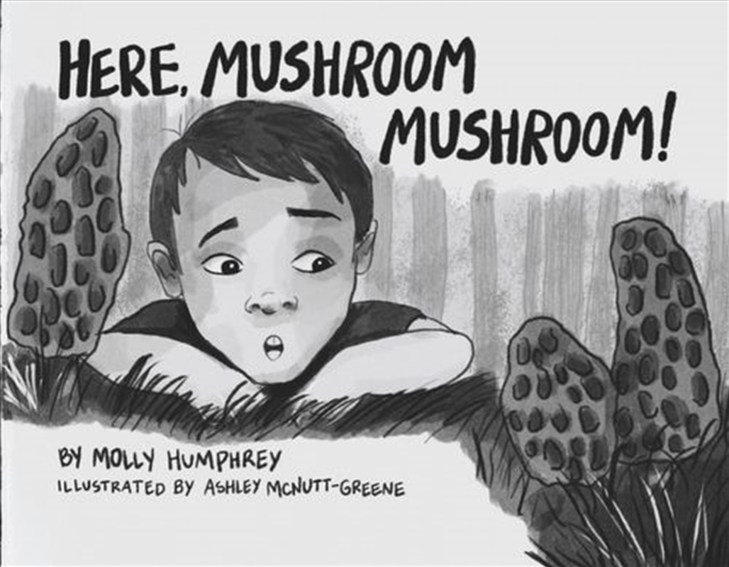 Here, Mushroom Mushroom!/Product Detail/Animals & Nature