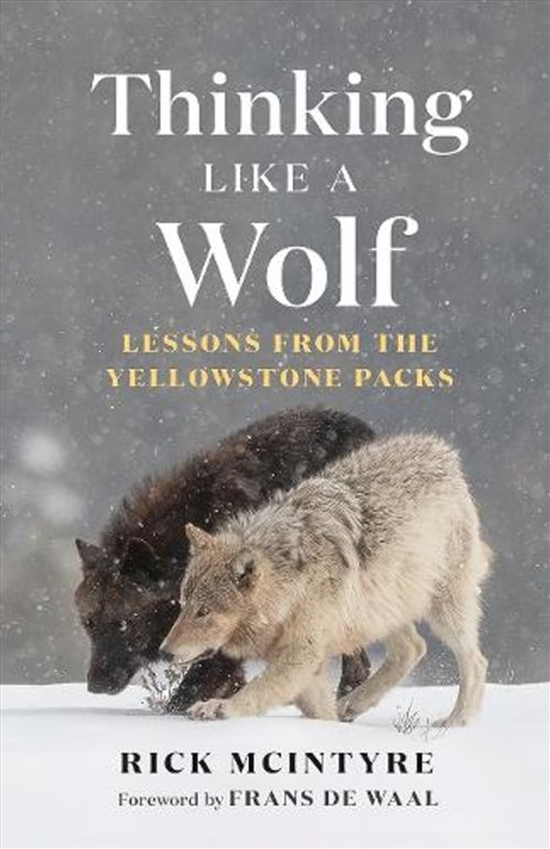 Thinking Like a Wolf/Product Detail/Society & Culture