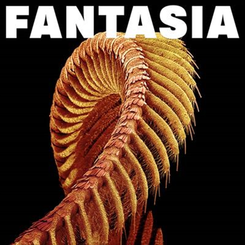 Fantasia - Mustard Yellow Vinyl/Product Detail/Pop