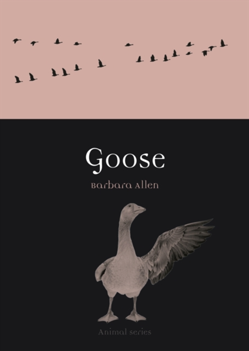 Goose/Product Detail/Animals & Nature